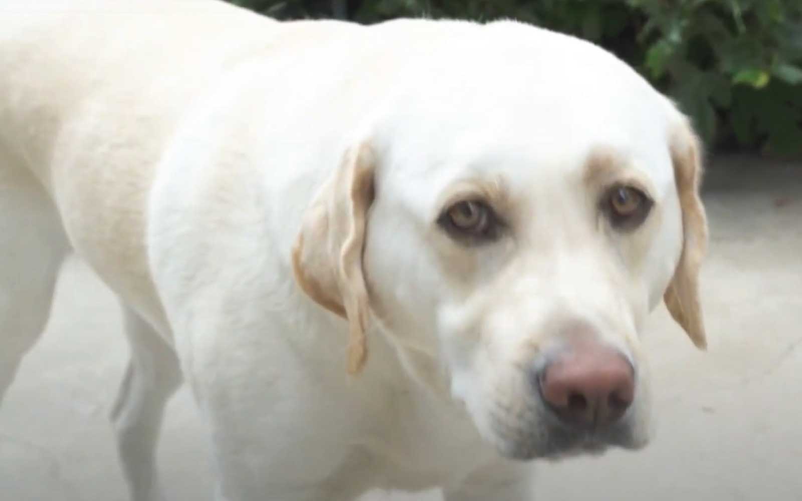 tint school online review story (5)